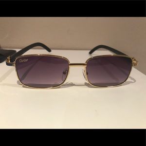 Cartier Dark Framed Men’s Sunglasses